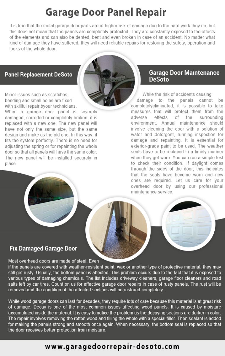 Garage Door Repair DeSoto Infographic